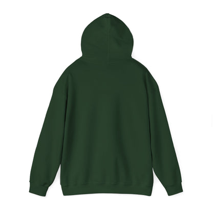 Modern Pontiac Hoodie