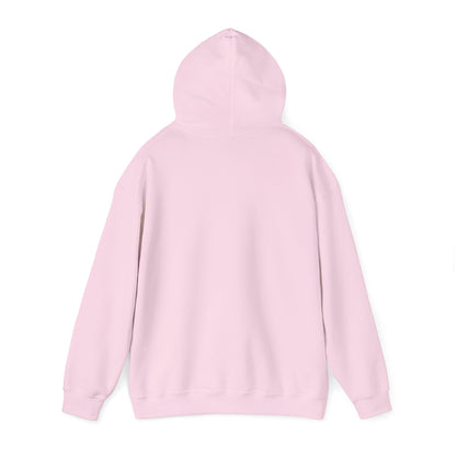 Vintage Pontiac Hoodie (pink)